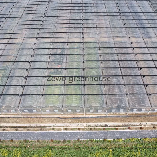 대형 다중 스팬 필름 터널 온실 관개 시스템 가격